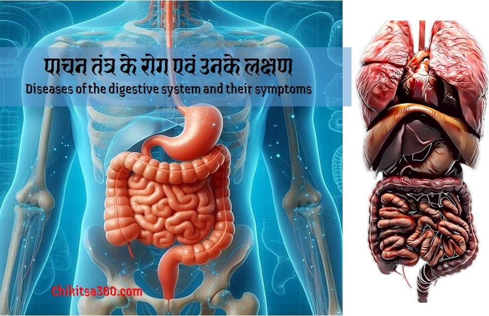 "An image depicting the symptoms of digestive disorders, such as abdominal pain, diarrhea, and vomiting."