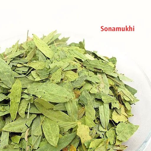 Dried Sonamukhi leaves in a glass bowl, against a white background.